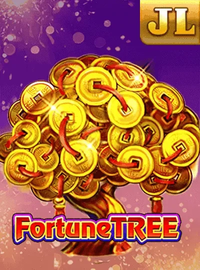 Live casino game show cover